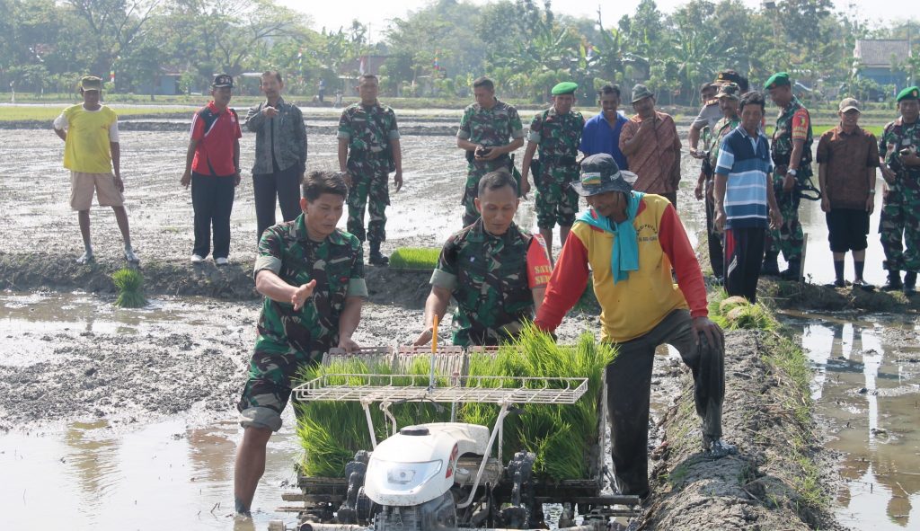 Kejar Target Luas Tambah Tanam Ltt Padi Dandim Bojonegoro Turun