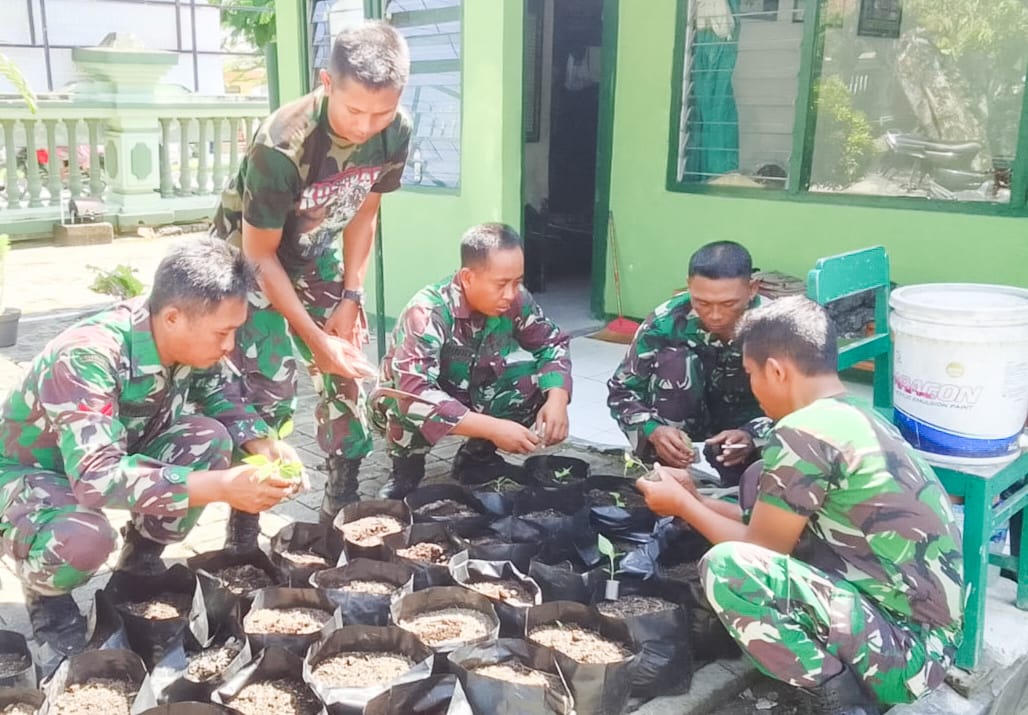 Jaga Ketahanan Pangan Kodim Bojonegoro Budidaya Tanaman Cabai KODIM